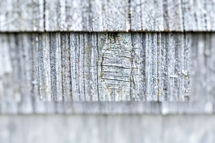 Silvered Grain