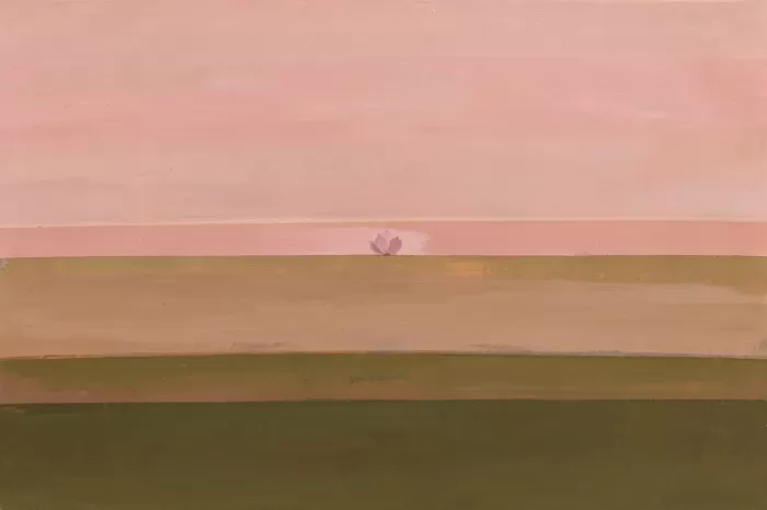 Soft Field