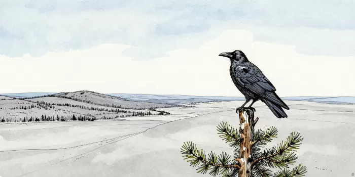 Raven's Watch