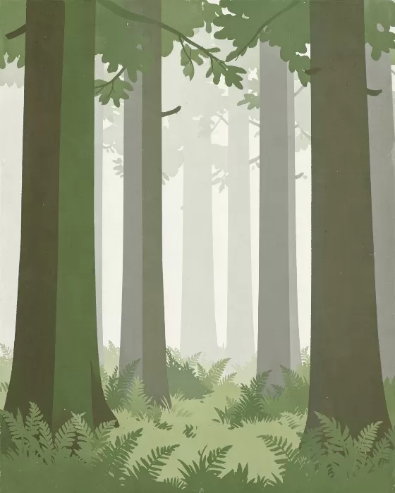 Redwood Grove