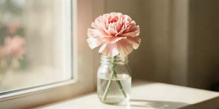 Petal Warmth