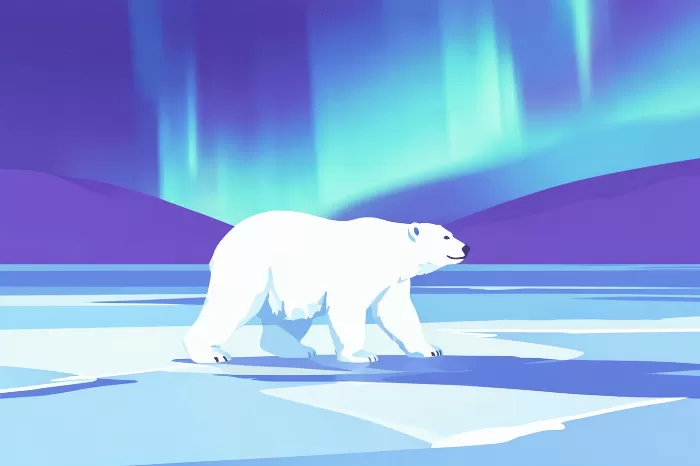 Arctic Drift