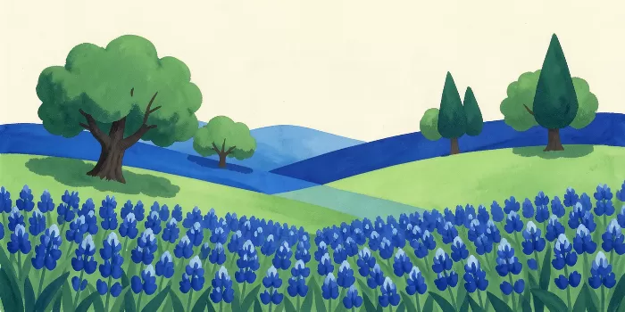 Bluebonnet Ridges
