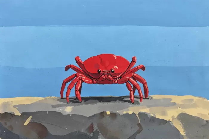 Shoreline Crab