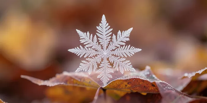 Amber Thaw