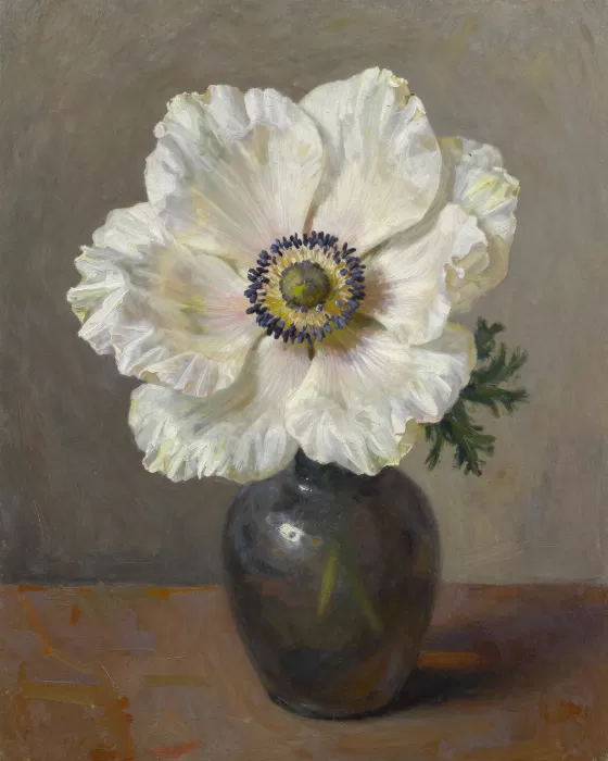 White Anemone