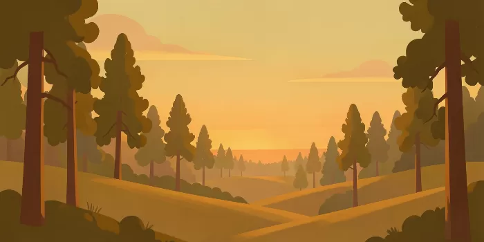 Pine Dusk