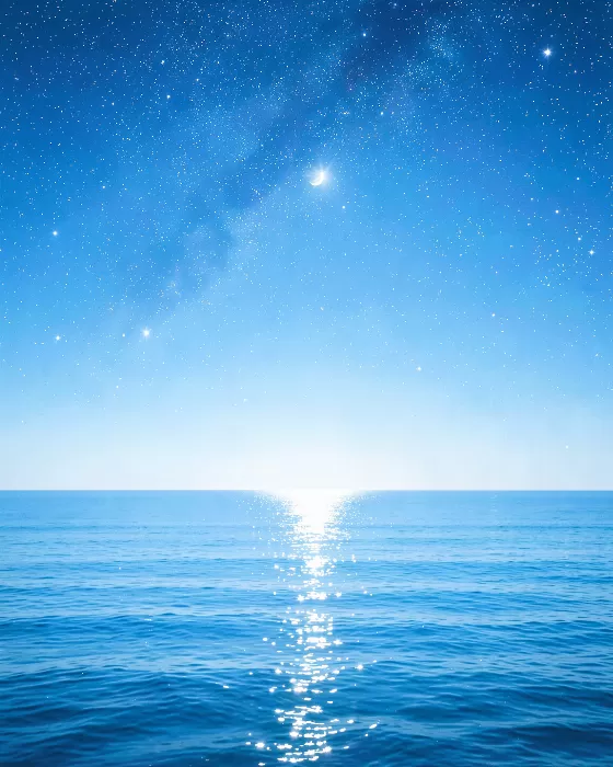 Night Reflection