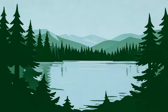 Adirondack Pines