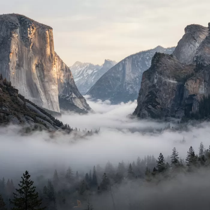 Half Dome Mist