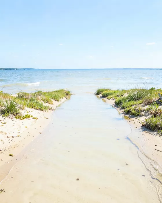 Northern Shallows
