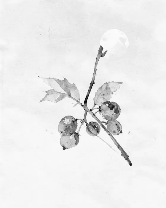 Moonlit Bramble
