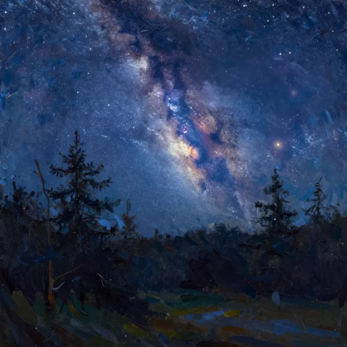 Starlit Canopy