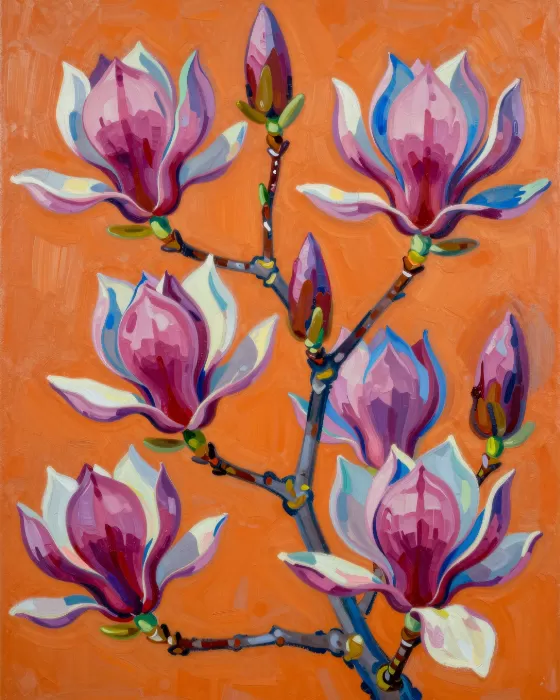 Magentas Magnolia
