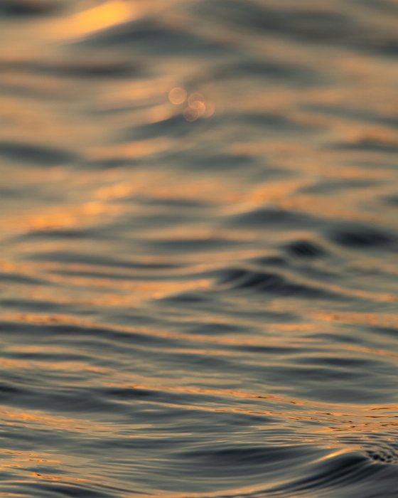 Topsail Water - Newfoundland art print