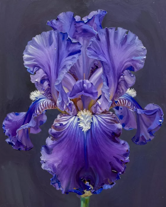Moody Iris