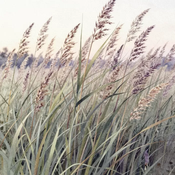 Dusk Reeds