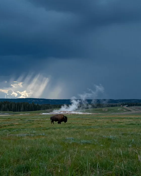 Valley Steam