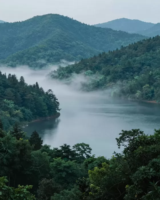 Emerald Mist