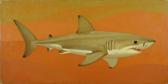 Mustard Shark