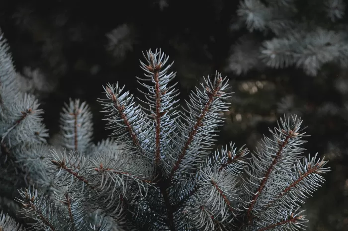 Natures Versatile Palette