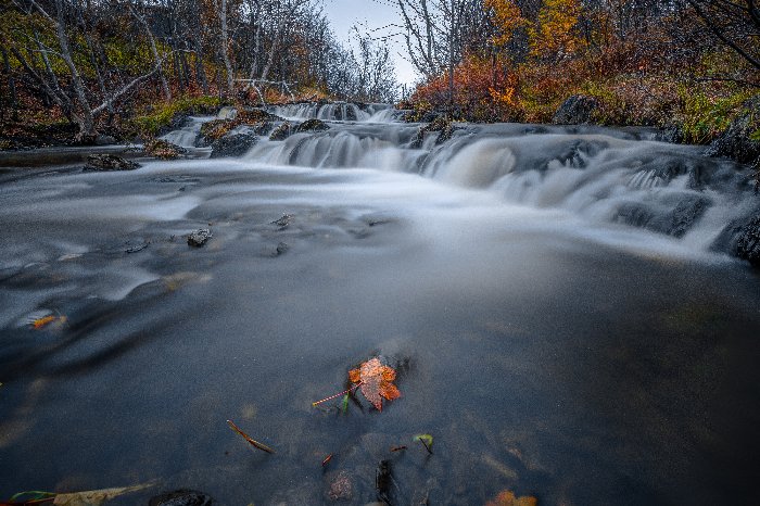 Canadian fall - Newfoundland art print
