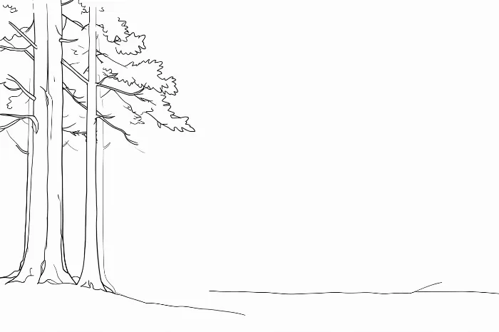 Foggy Pines