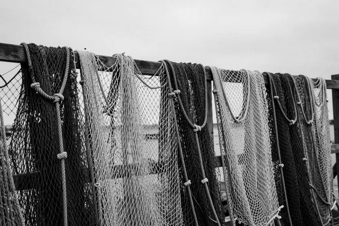 Wharf Nets