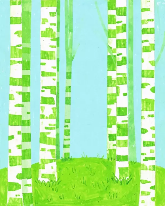 Sunny Birches