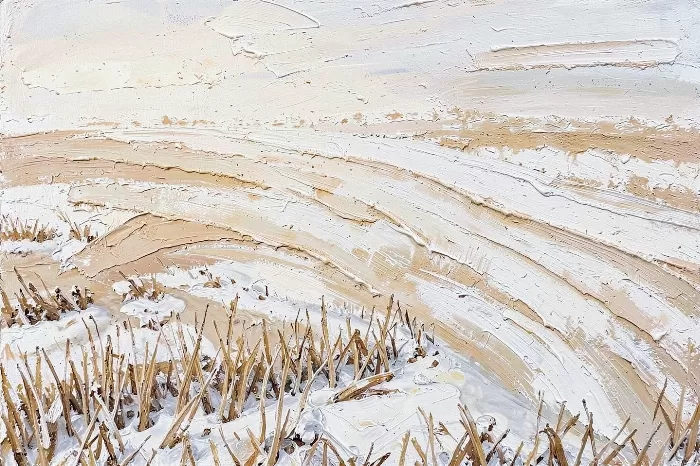 Prairie Snow
