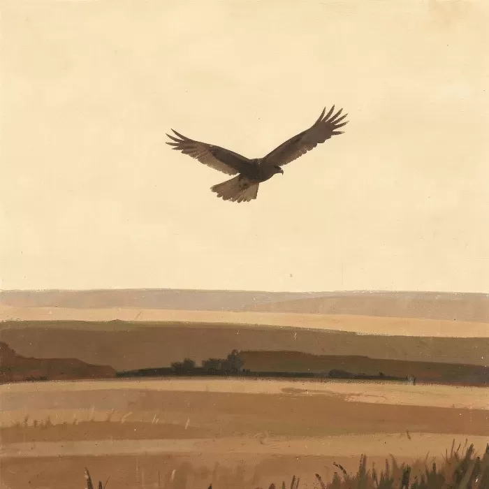 Soaring