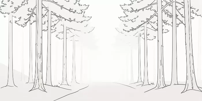 Foggy Trail