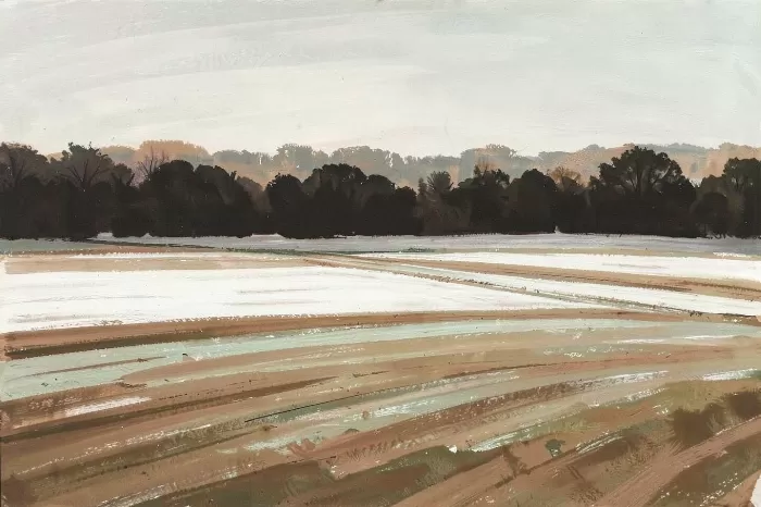 Fallow Field