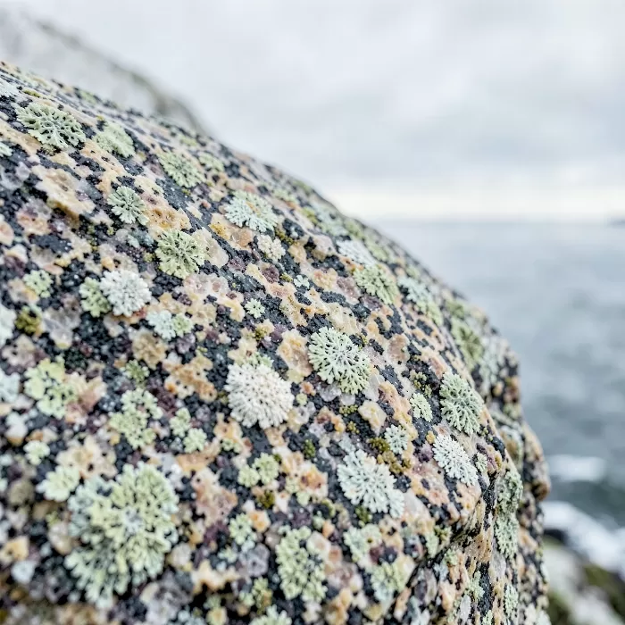 Granite Face
