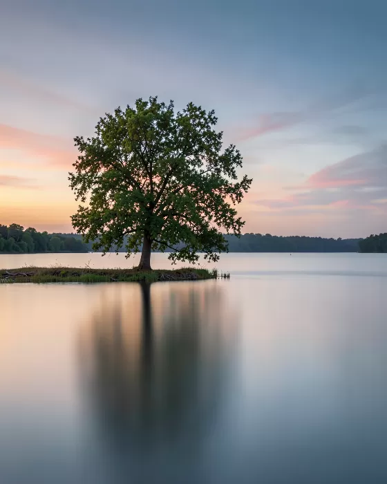 Silent Shoreline