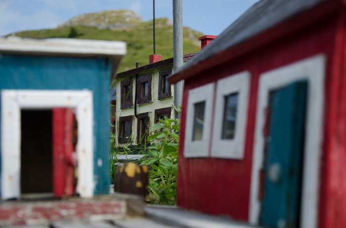Tiny Homes - Newfoundland art print