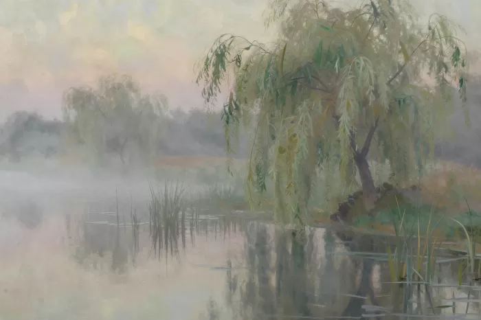 Misty Wetland