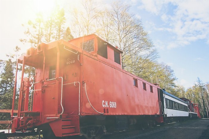 CN 6069 - Newfoundland art print