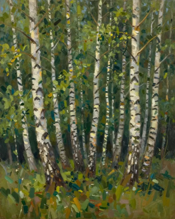White Birch