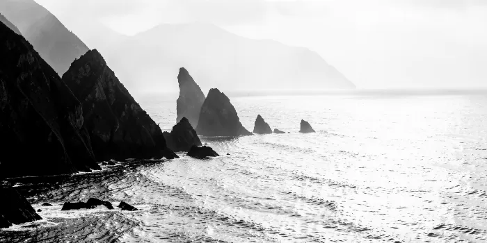 Pacific Mist