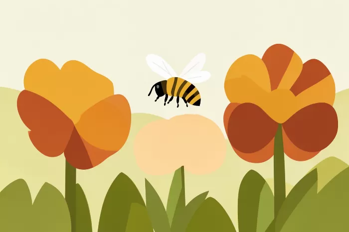 Honey Hover