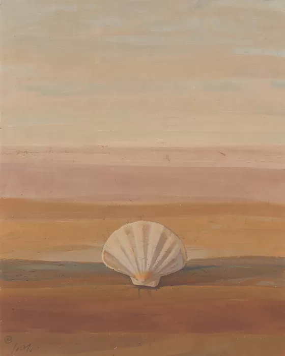 Shell Field