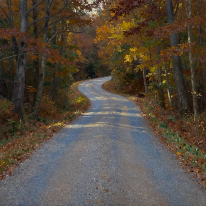 Forest Road