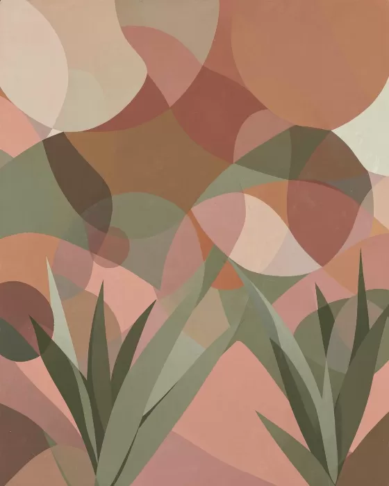 Agave Forms