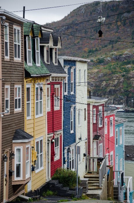 the houses - Newfoundland art print