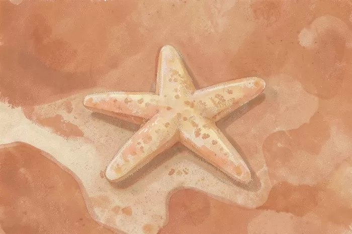 Sand Star