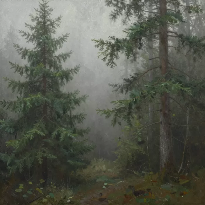 Misty Forest
