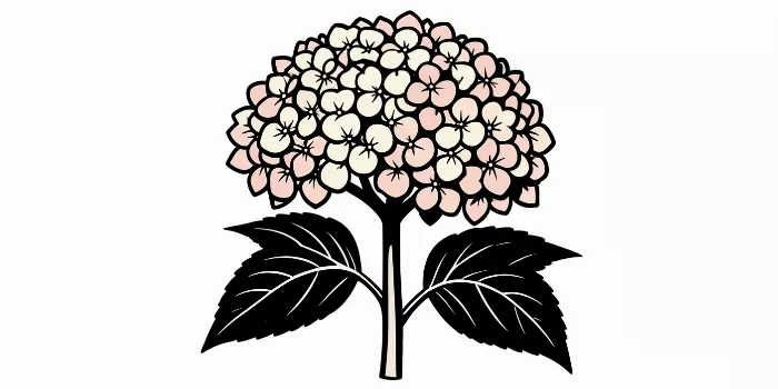 Carved Hydrangea