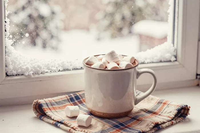 Winter Warmth