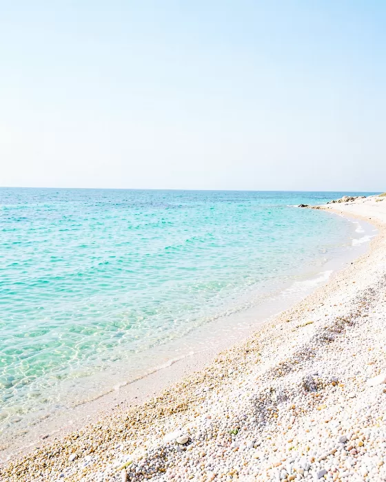 Shingle Bay